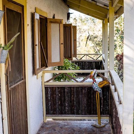 Pine Ridge Lodge San Ignacio Luaran gambar