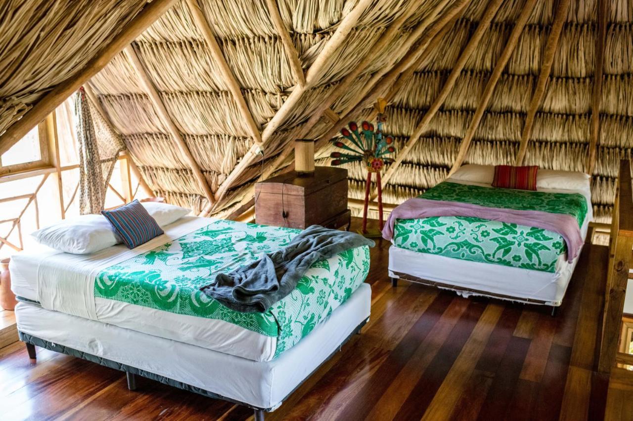Pine Ridge Lodge San Ignacio Luaran gambar