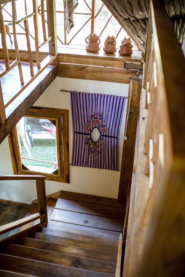 Pine Ridge Lodge San Ignacio Luaran gambar