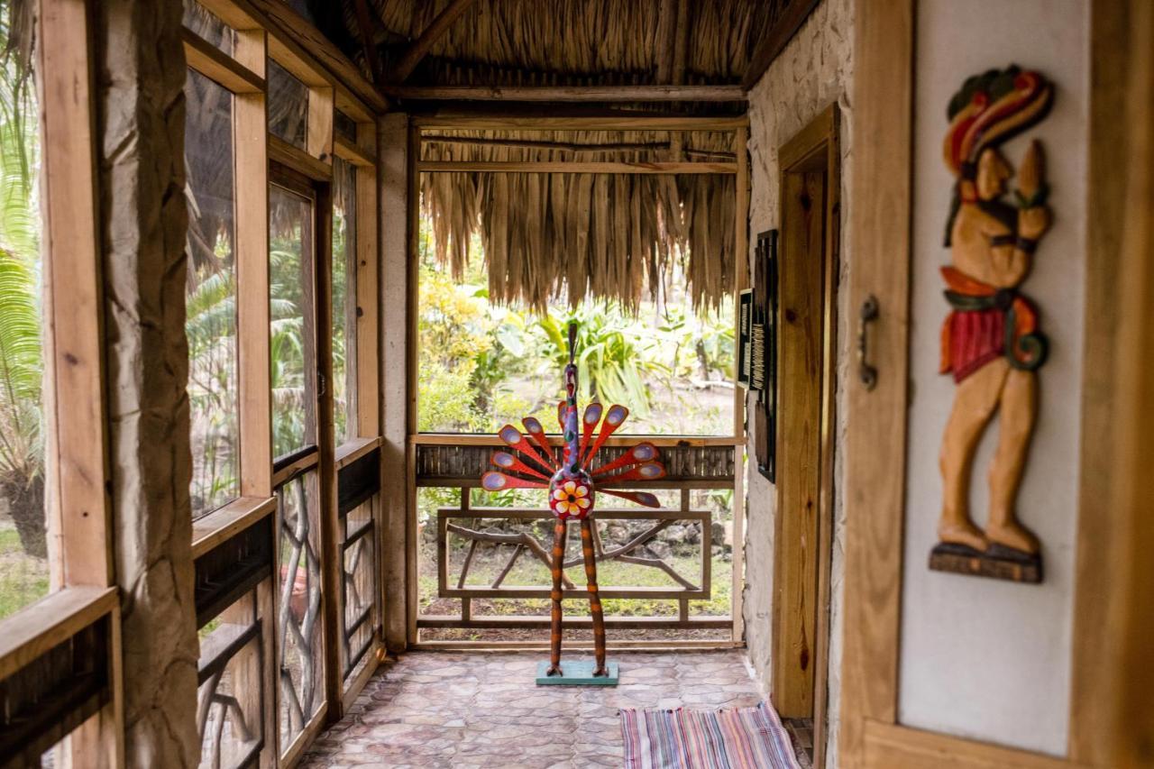 Pine Ridge Lodge San Ignacio Luaran gambar