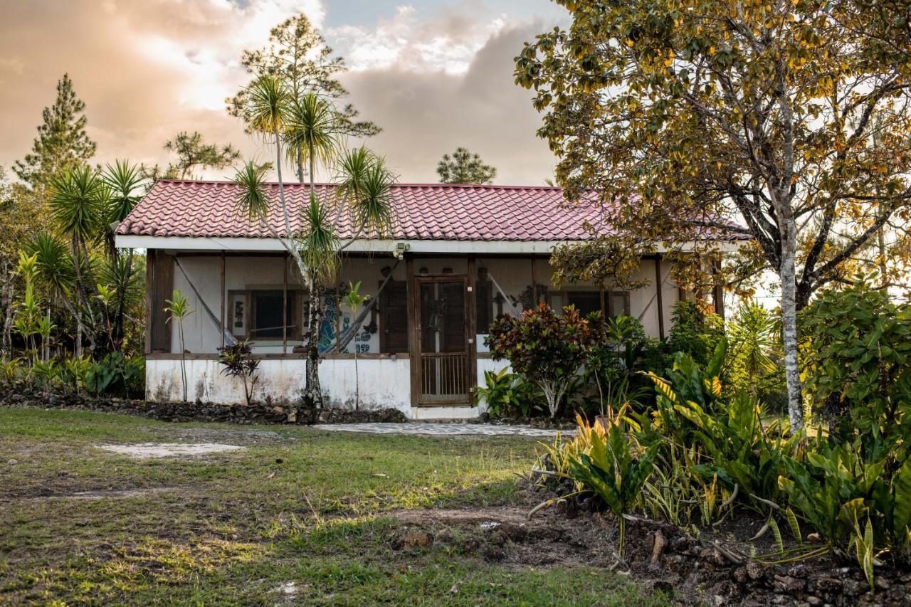 Pine Ridge Lodge San Ignacio Luaran gambar