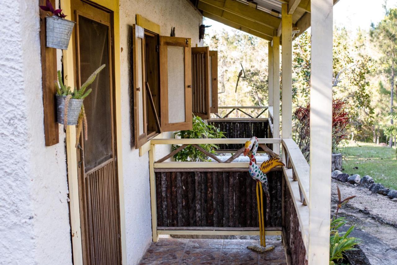 Pine Ridge Lodge San Ignacio Luaran gambar