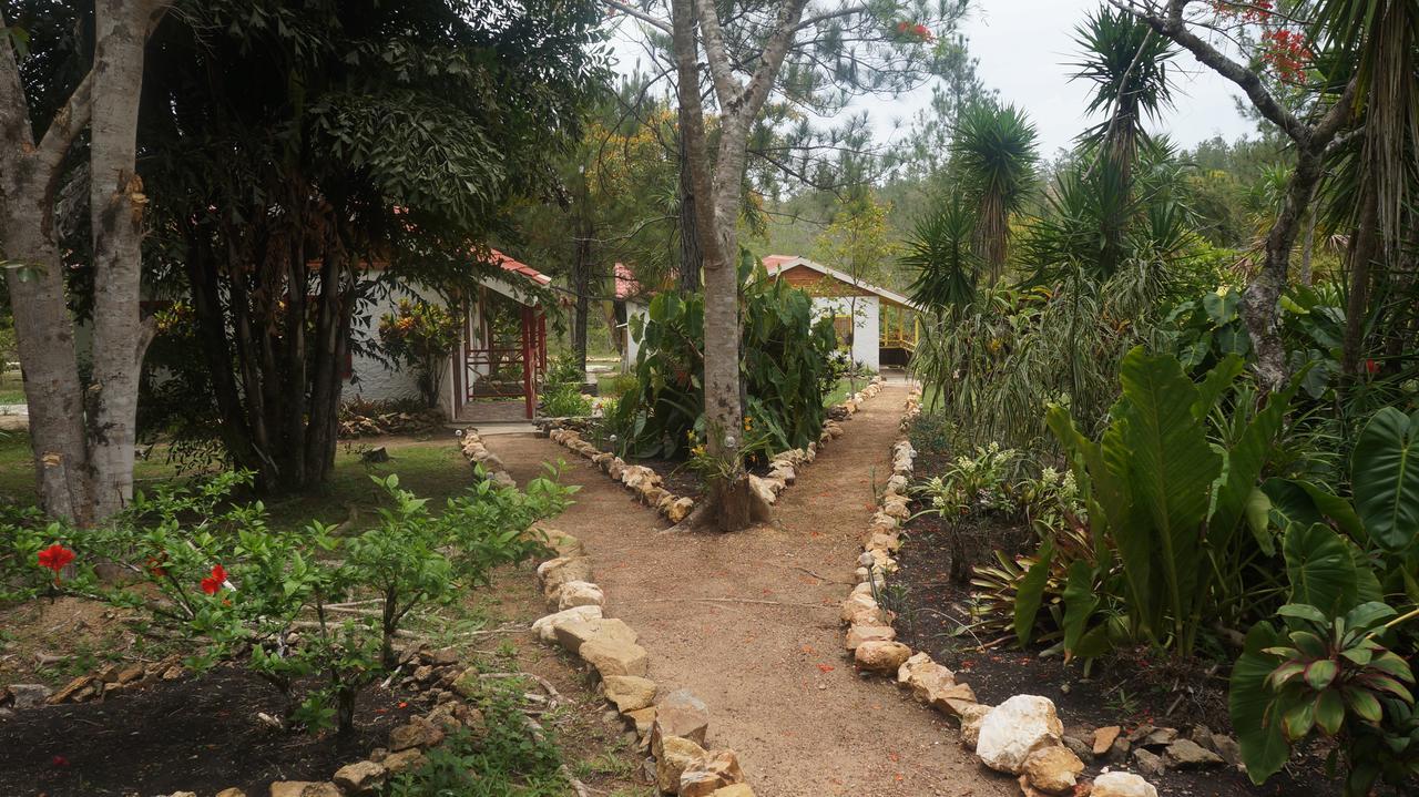 Pine Ridge Lodge San Ignacio Luaran gambar
