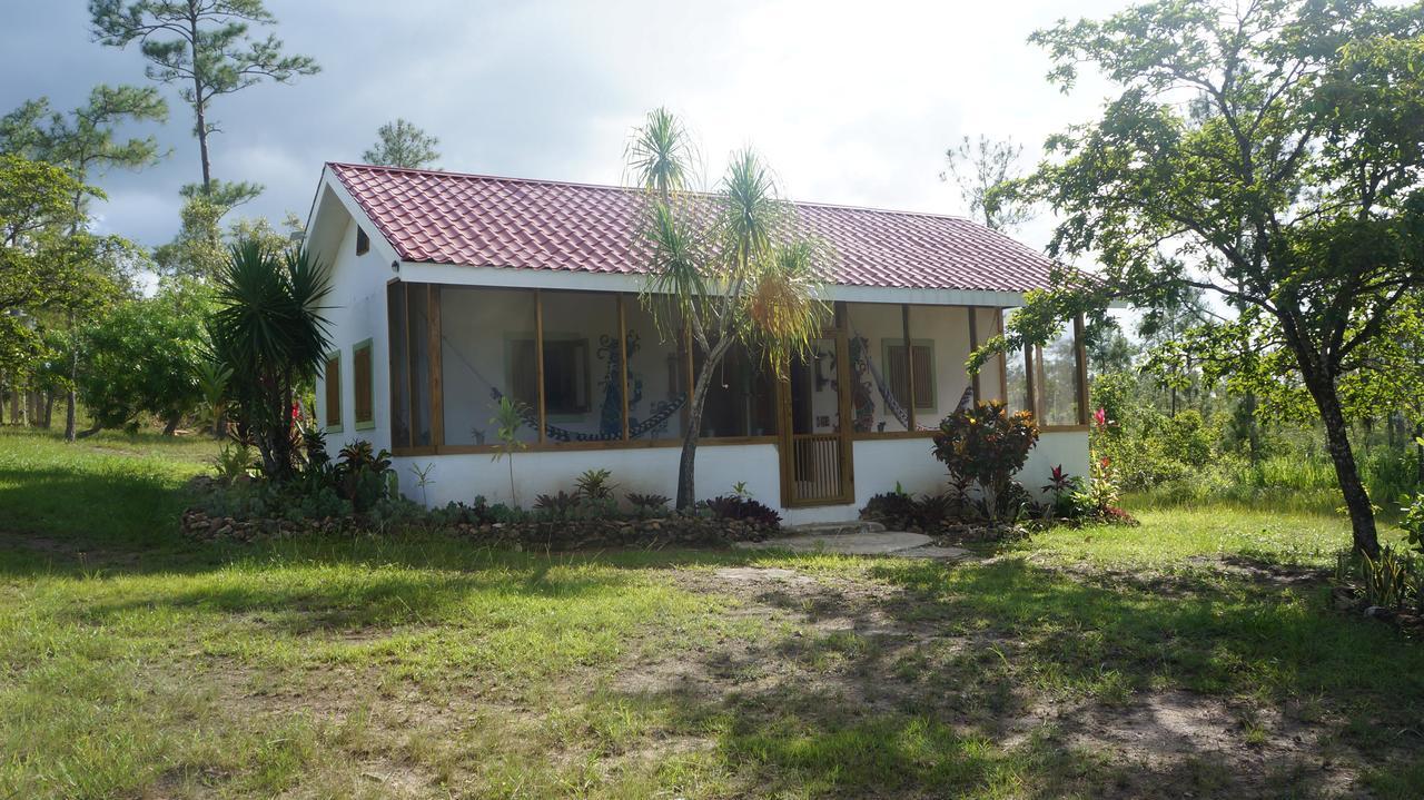 Pine Ridge Lodge San Ignacio Luaran gambar